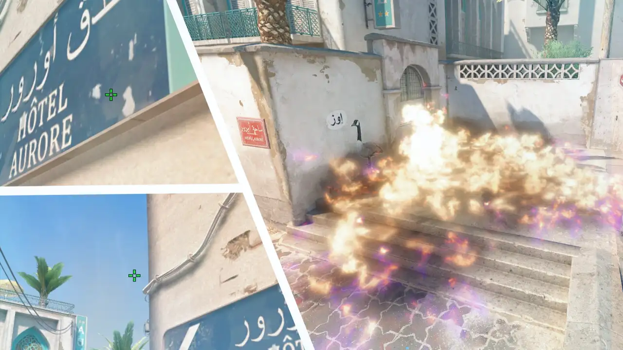 Goose Molotov from Short