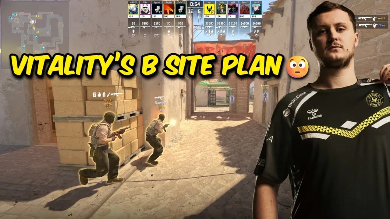 T Split - Vitality