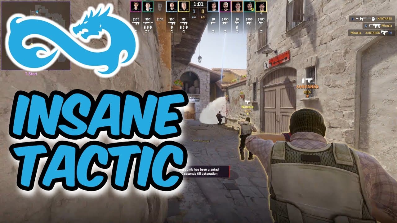 B Split Fake - EF